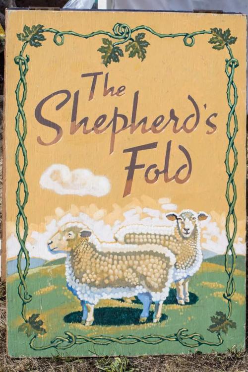 The Shepherds Fold, Debi Breitbach-Glass